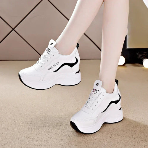Sf73ff244767043308c936401850a3d61t